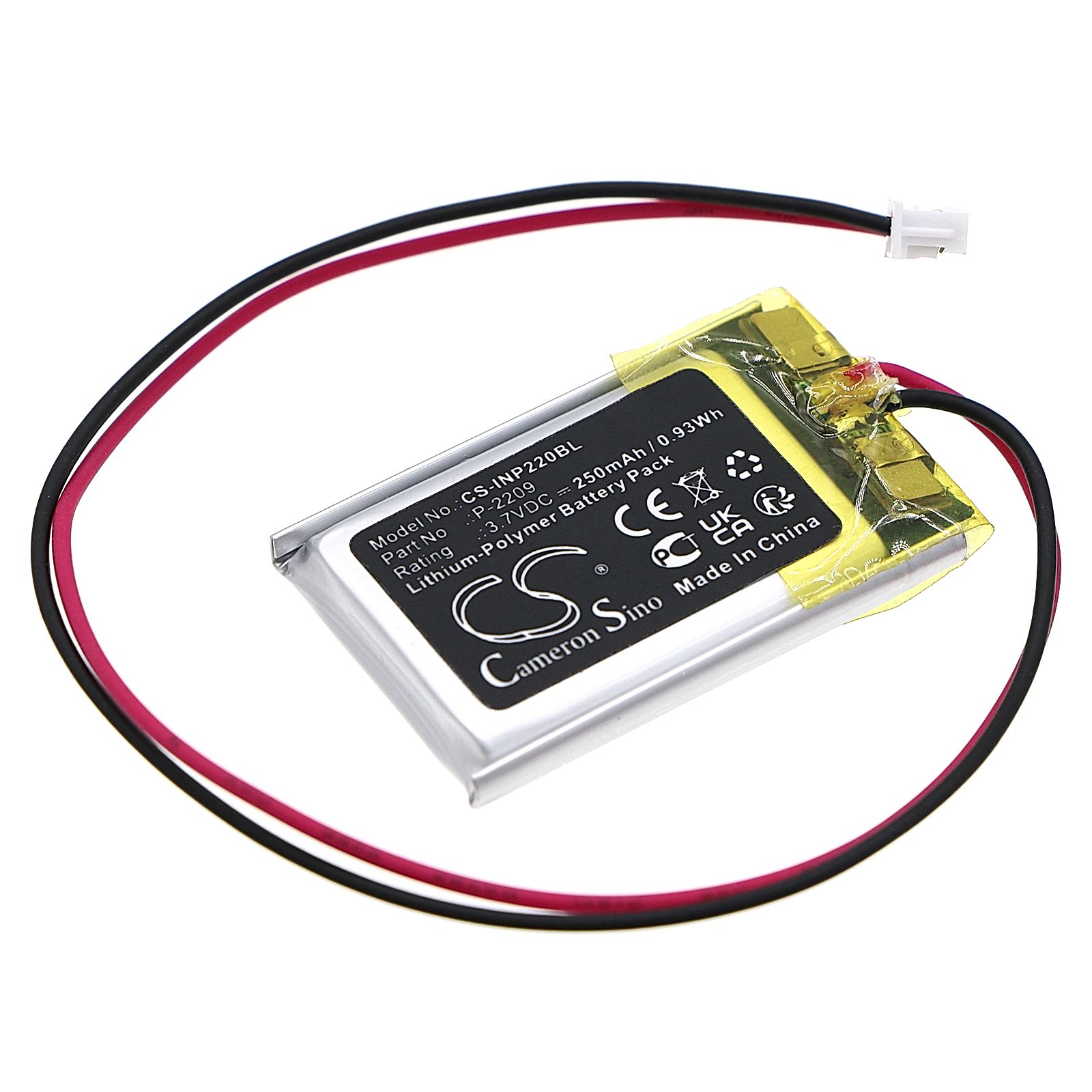 INT RASTER Memory Backup Battery Replacement