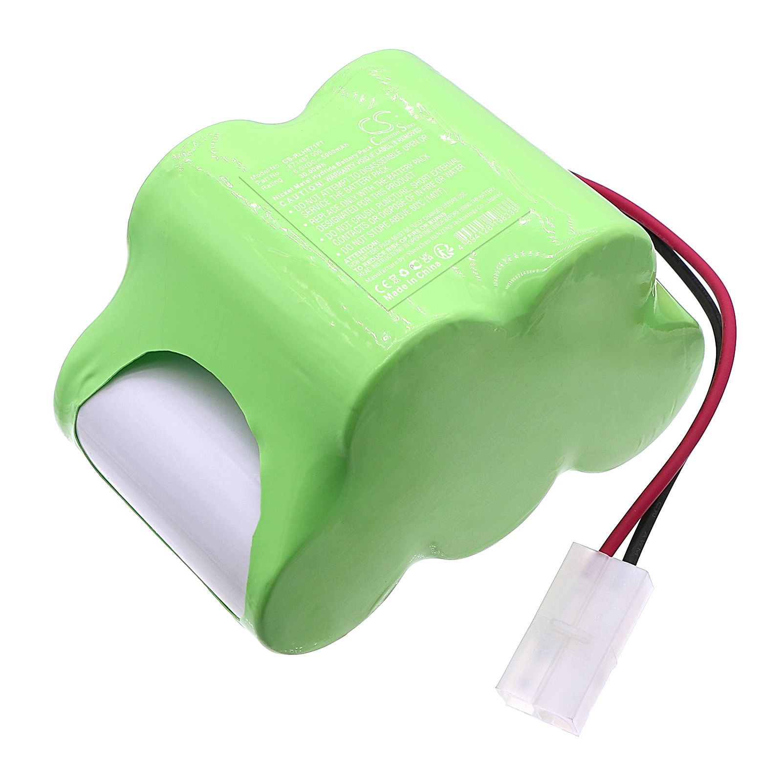 RZB Leuchten EHSS Battery Replacement
