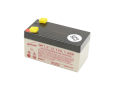 UPS Batteries