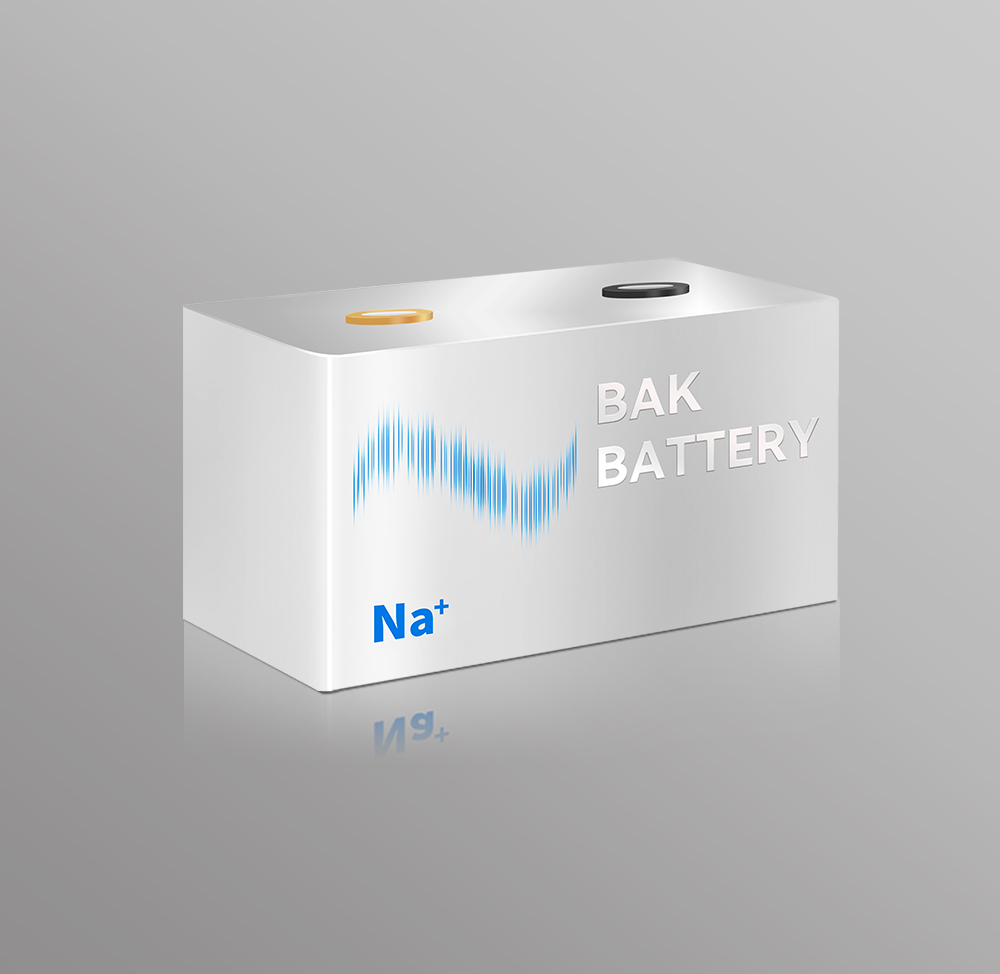 BAK 3914895-Na+ 45Ah 3V